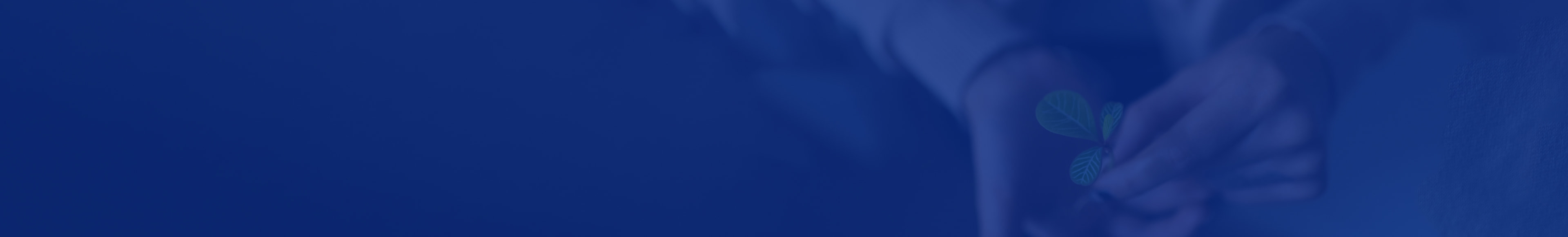 両手で芽を持つアップ