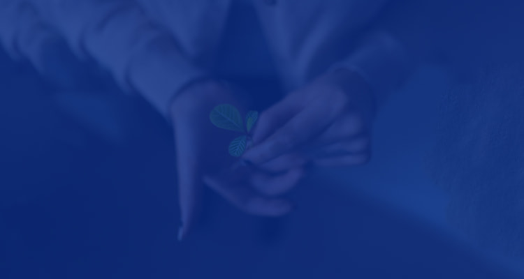 両手で芽を持つアップ